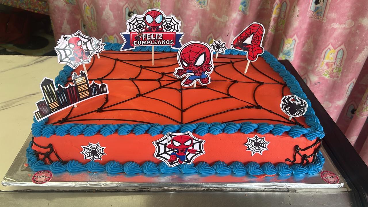 Pastel Spiderman rectangular